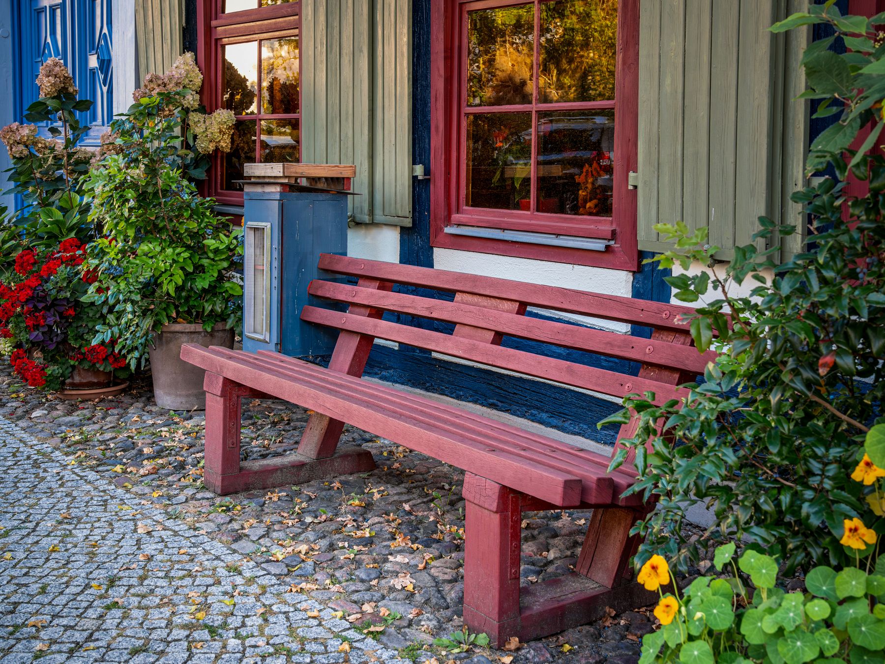 Fence and Decking Painting in Enfield — woodwork brushed to a crisp, smooth line