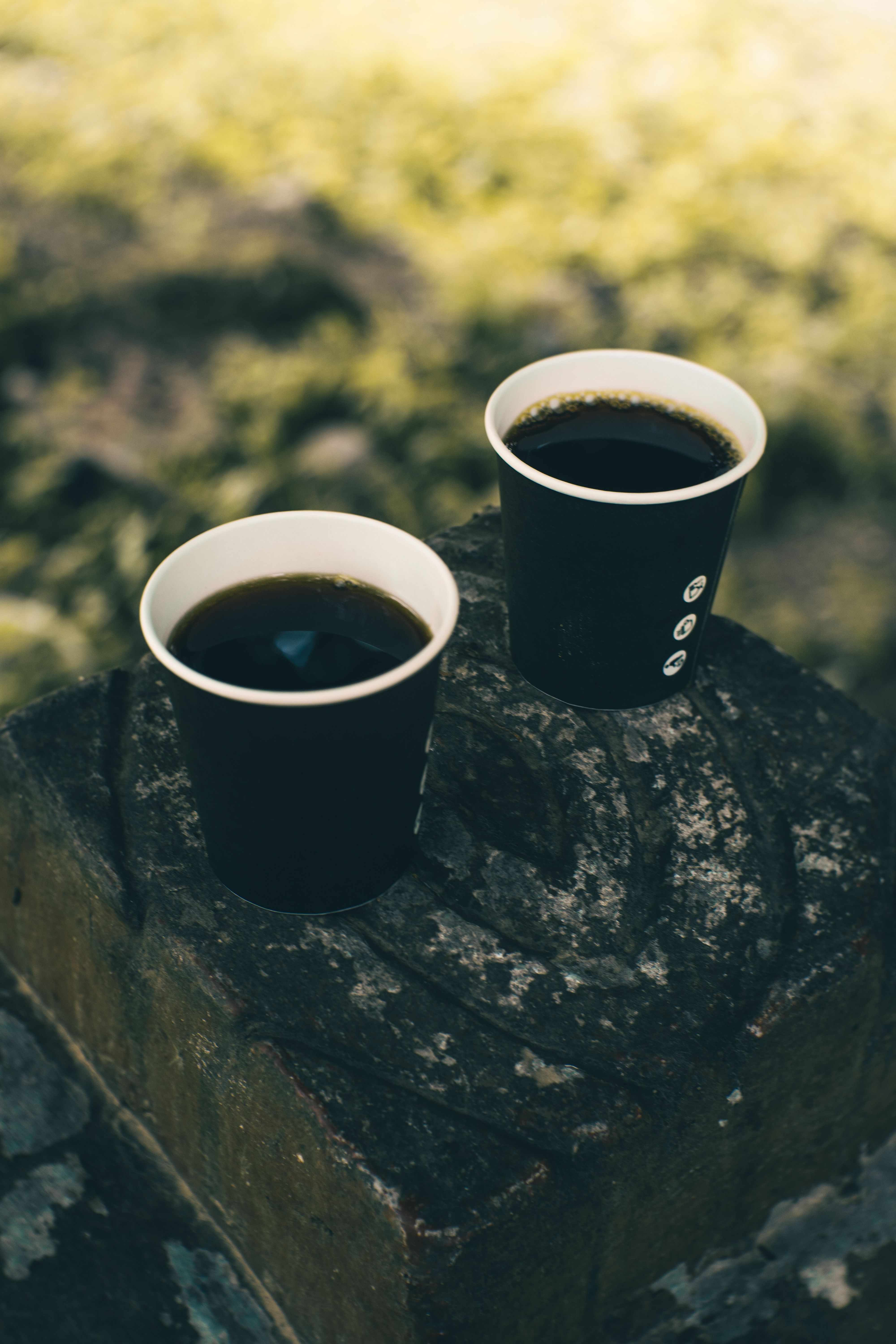 Paper Cups of Coffee · Free Stock Photo