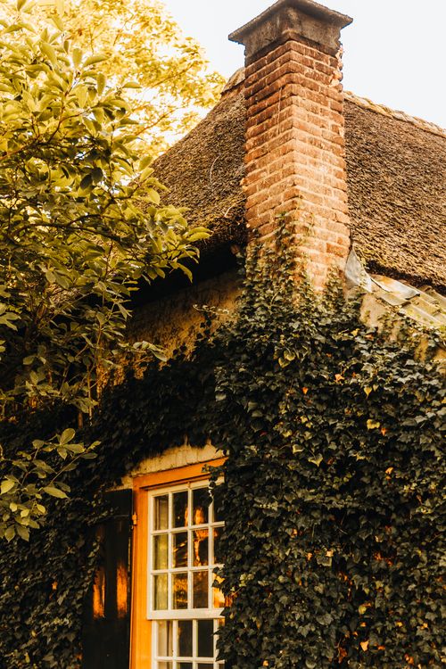 Free Rustic cottage with ivy-covered brick chimney, surrounded by autumn foliage, exuding a warm vintage charm. Stock Photo