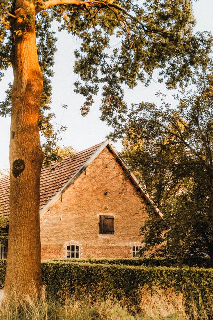 A rustic house surrounded by lush greenery and warm summer tones, perfect for countryside themes.