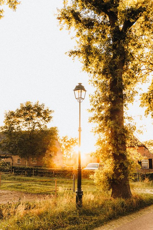 Free Serene rural scene with a lamp post at sunset, casting a warm glow over trees and a cottage. Stock Photo