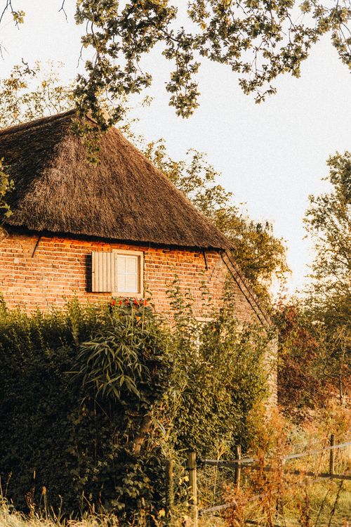 Free Cozy rustic bungalow with thatched roof amidst autumn foliage, perfect for serene countryside retreats. Stock Photo