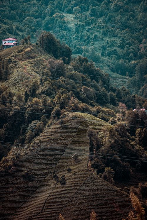 Free Lush hills with dense forests and a distant house under a calm sky. Stock Photo