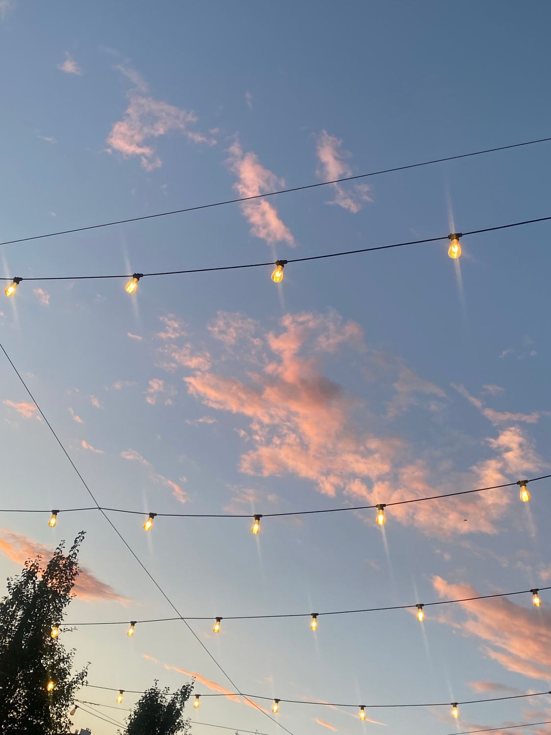 String Lights Glowing against the Sky at Dusk · Free Stock Photo