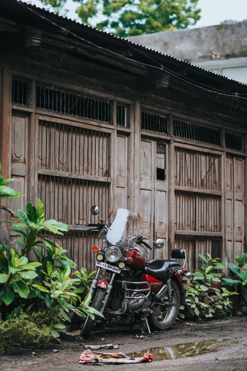 Free A vintage motorcycle stands parked beside a rustic wooden wall surrounded by lush greenery. Stock Photo