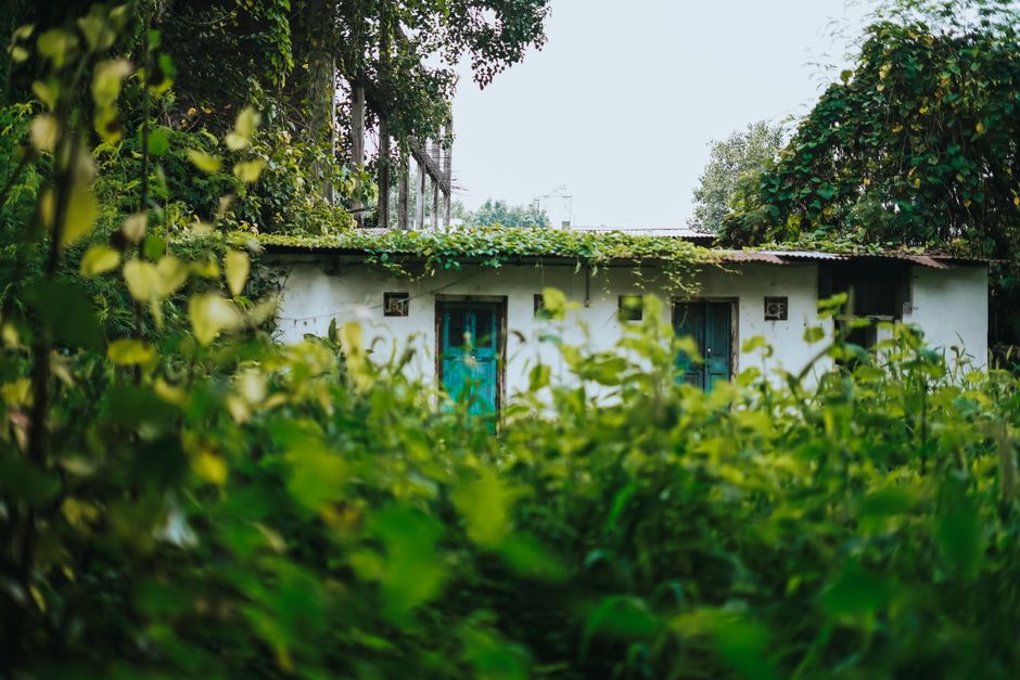 A quaint rural house surrounded by lush green foliage in Nagpur, India. Captures the essence of tranquility.