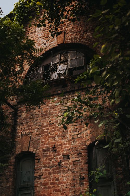 Free Eerie abandoned brick building in Nagpur, India, covered with ivy and broken windows. Stock Photo