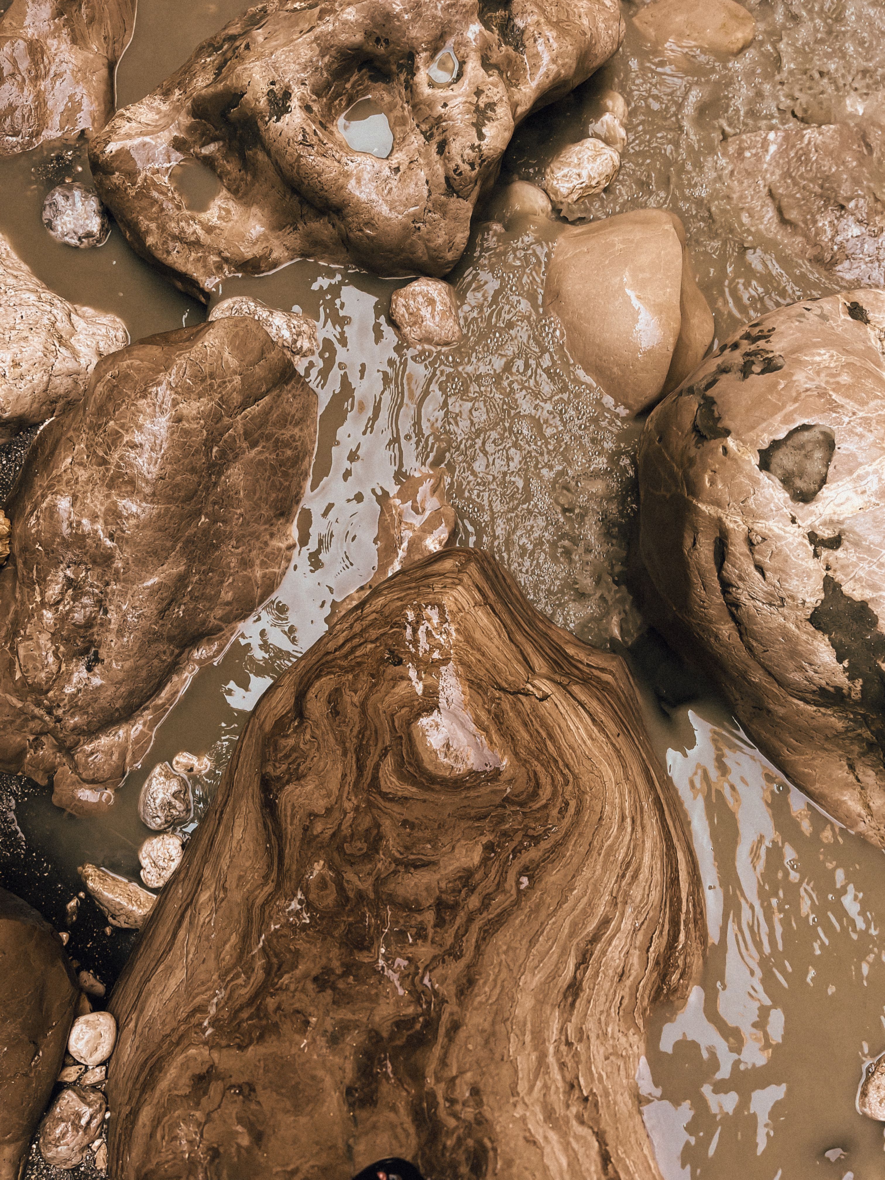 Rocks in Swamp · Free Stock Photo