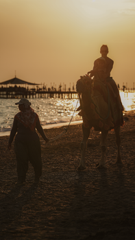 Silhouette of a camel ride at sunset along the beach in Belek, Antalya, Türkiye.
