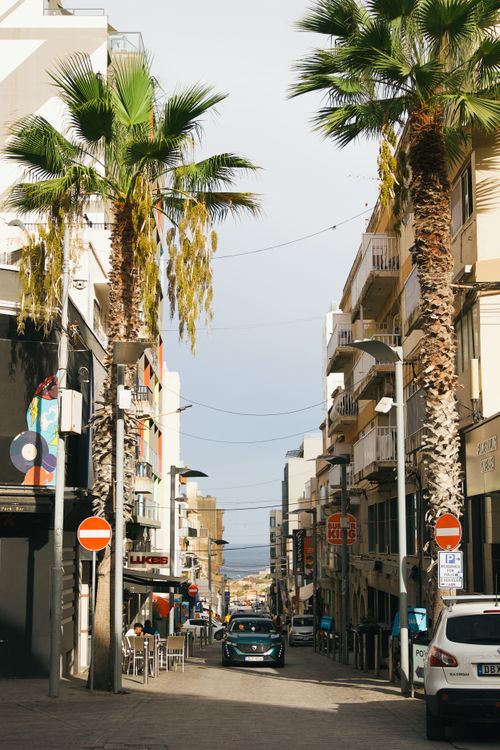 Free A vibrant urban street lined with palm trees, exuding a tropical feel on a sunny day. Stock Photo
