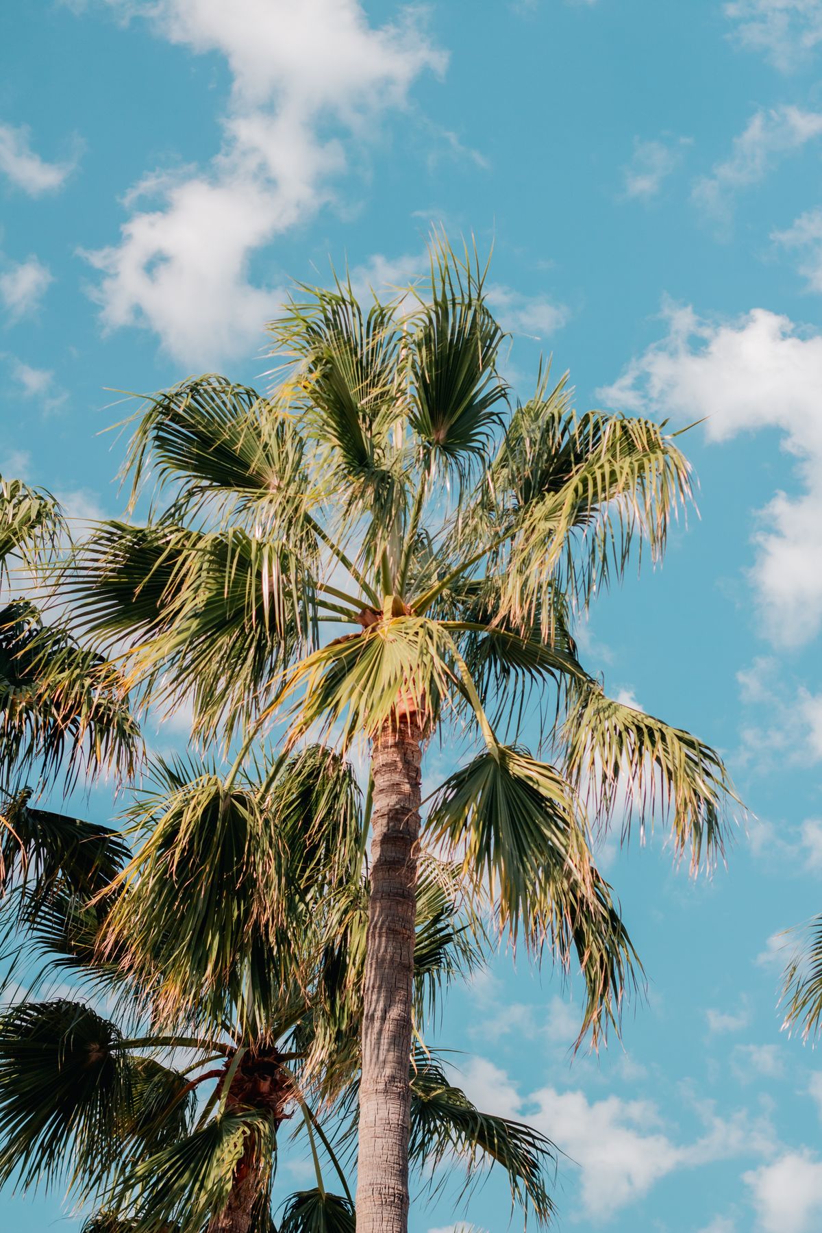 Mallorca