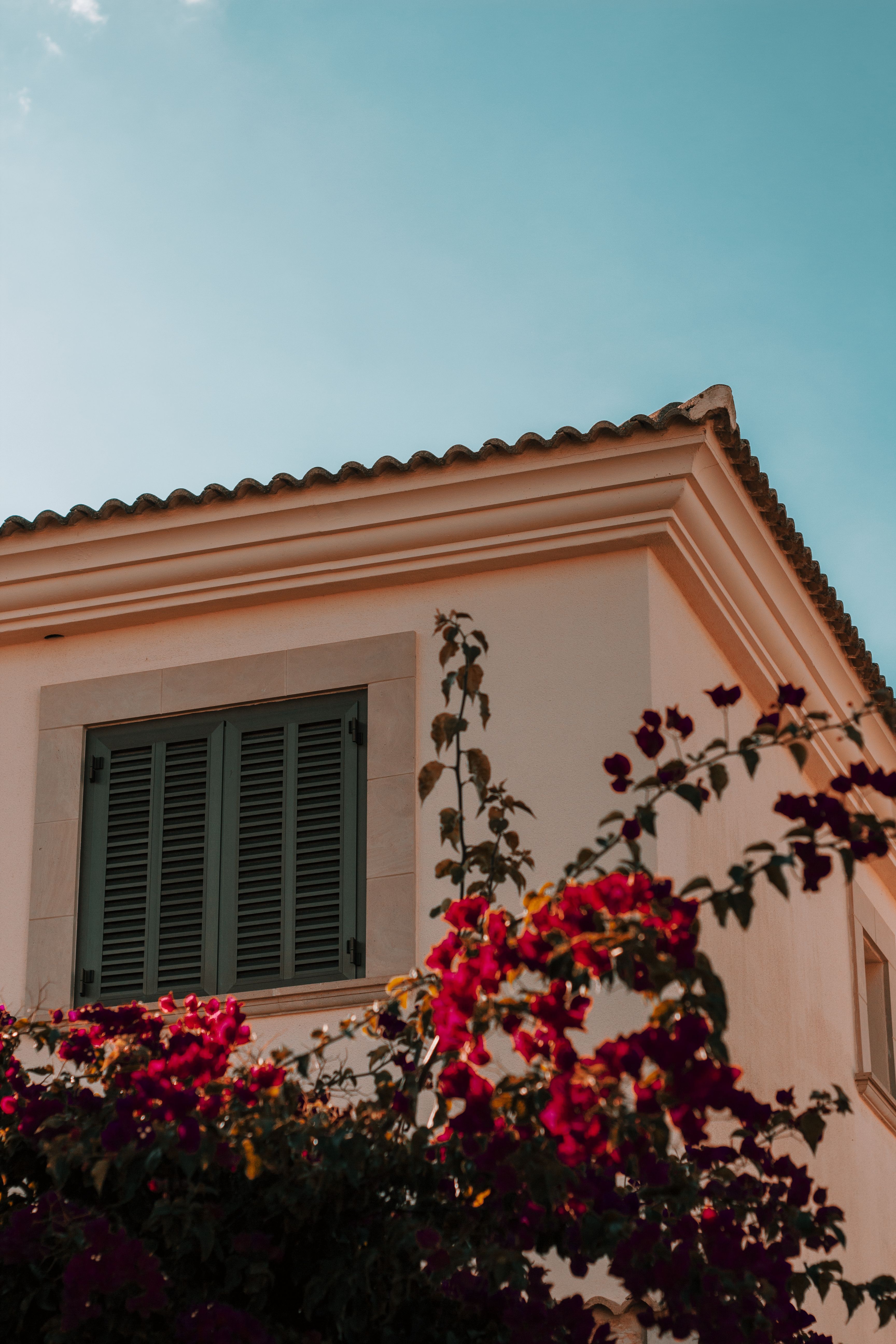 mediterrane woning met terras en palmbomen op Mallorca