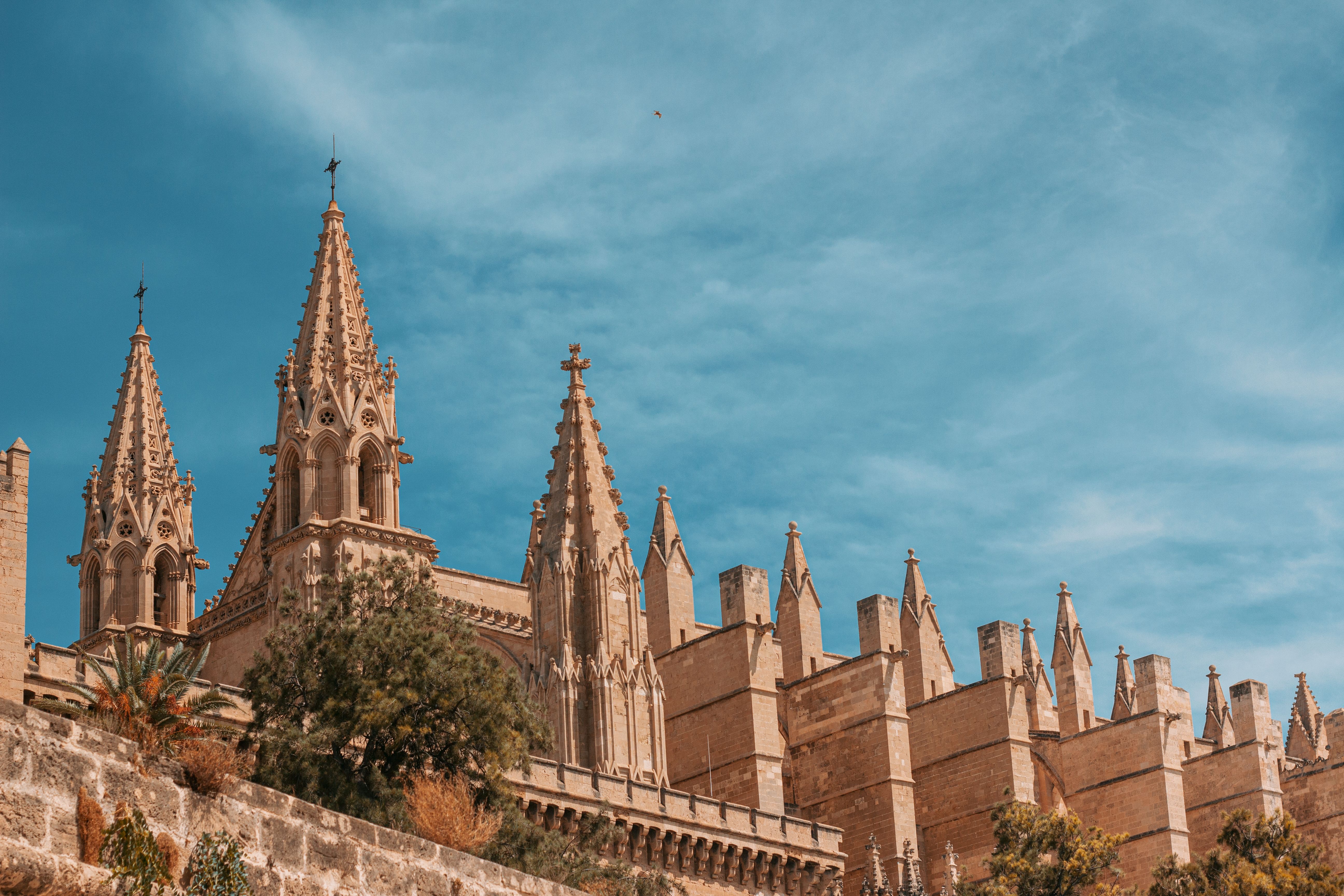 Tours, activities & tickets in Palma de Mallorca