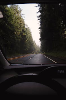 Driving through tall evergreen trees in California, showcasing nature's beauty.