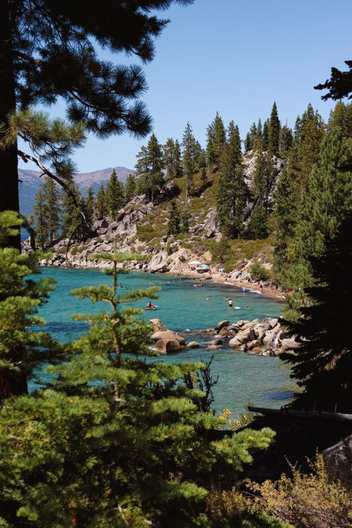 Free Captivating summer vista of Lake Tahoe with evergreen trees and clear waters. Stock Photo