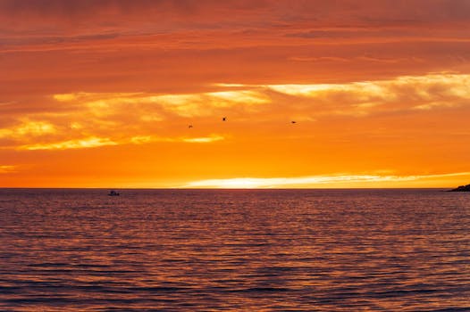 Mazatlan, Mexico photo 16