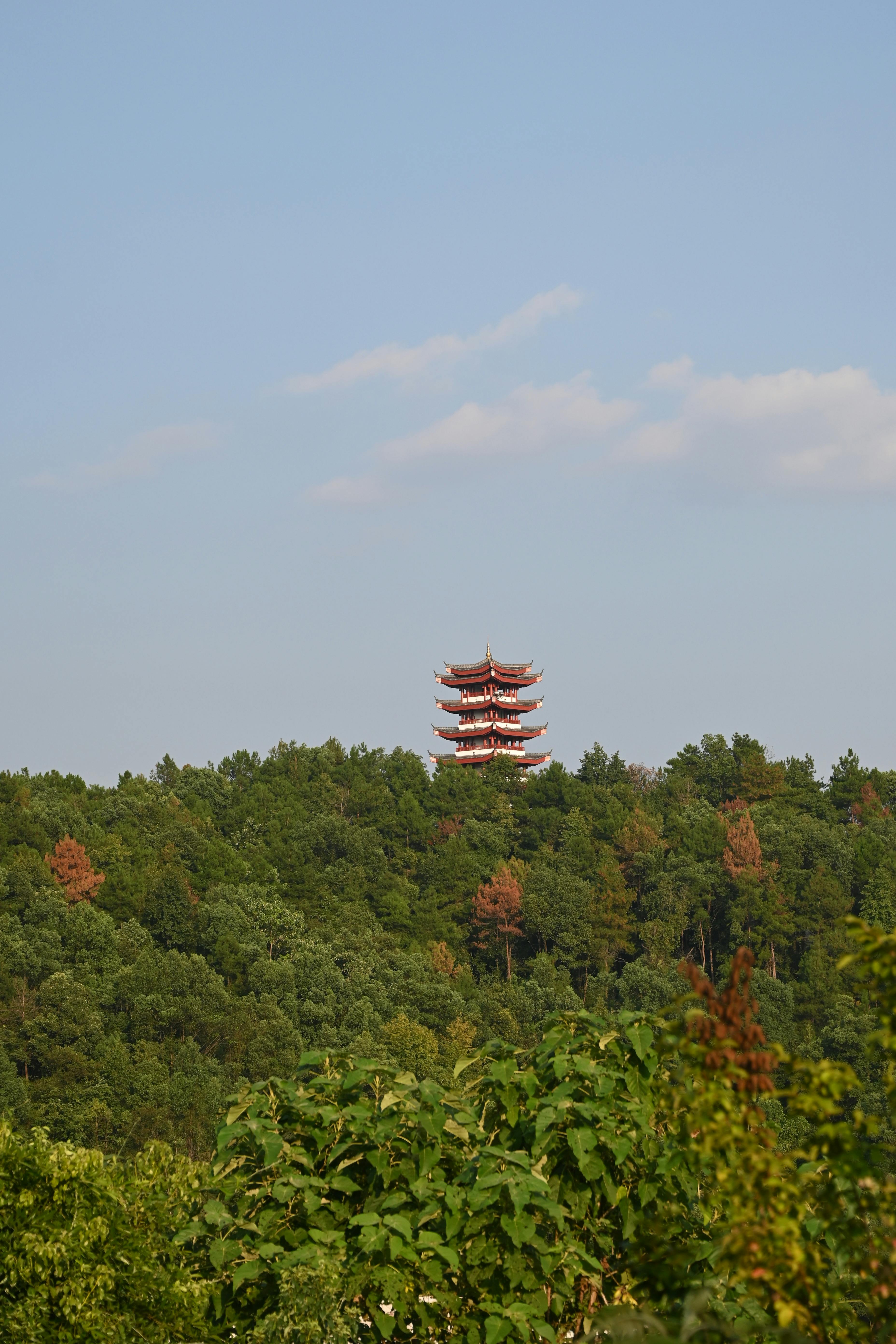 Top 5 Affordable Bristol Temple Meads Parking Options You Didn't Know Existed