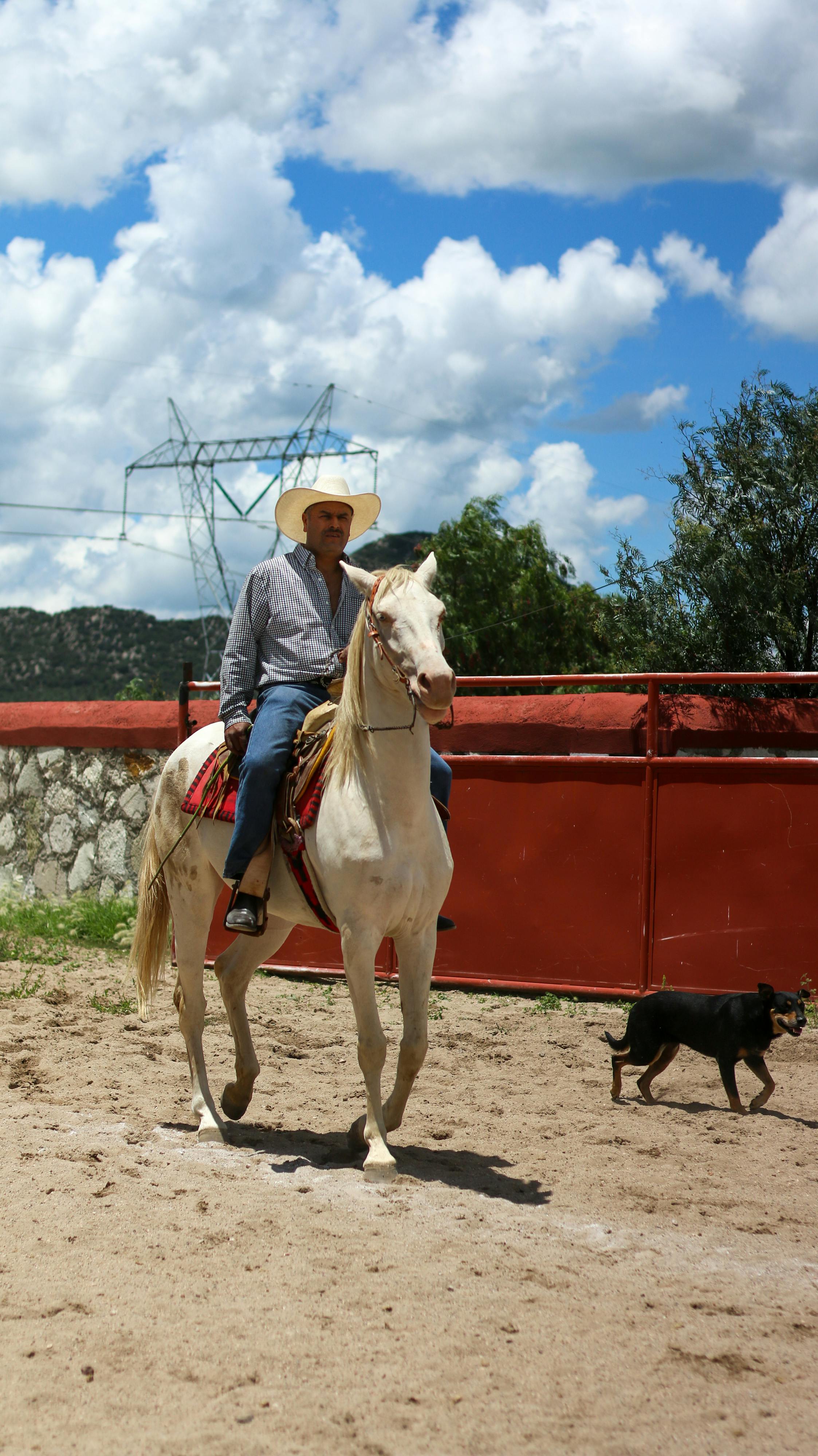 a man in a cowboy hat riding a horse