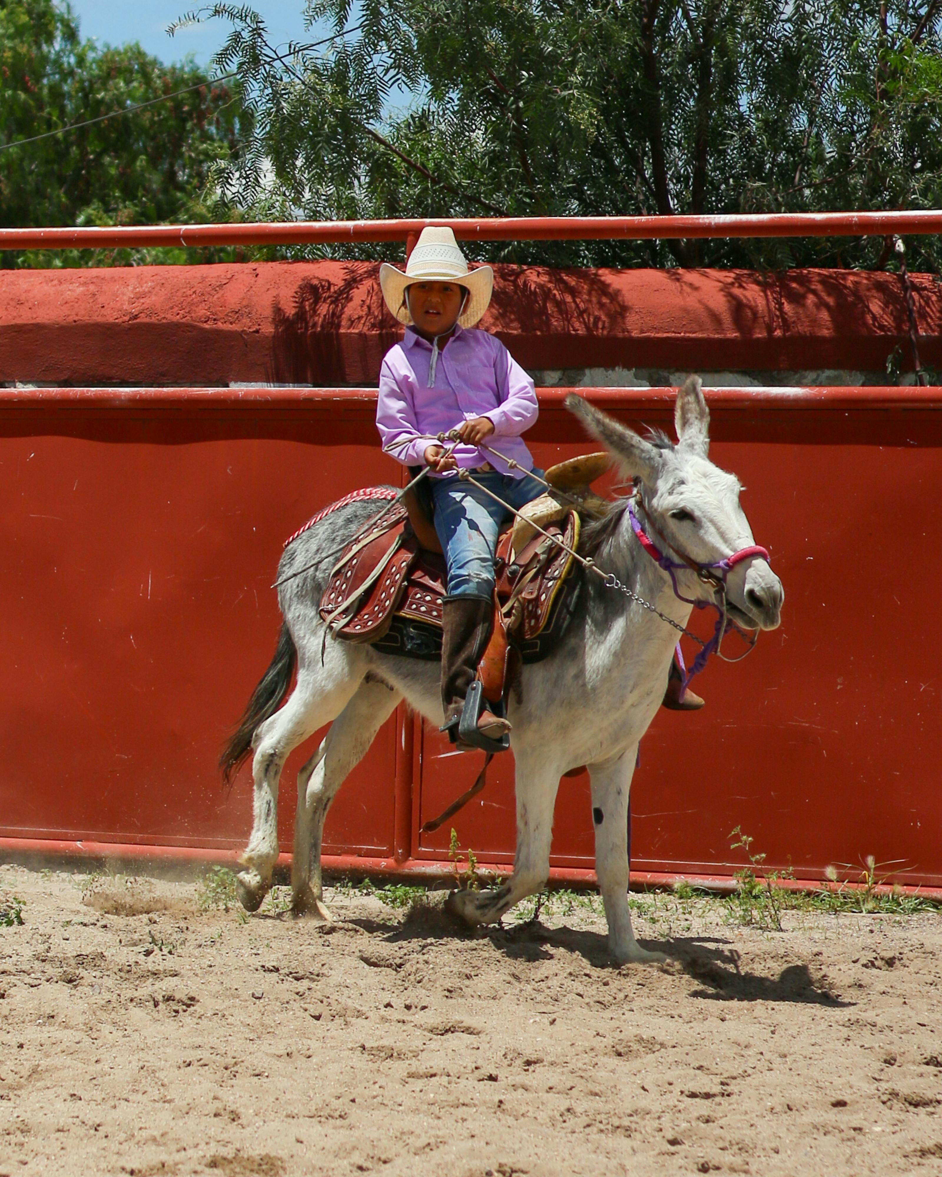 Rode Kid Photos, Download The BEST Free Rode Kid Stock Photos & HD Images