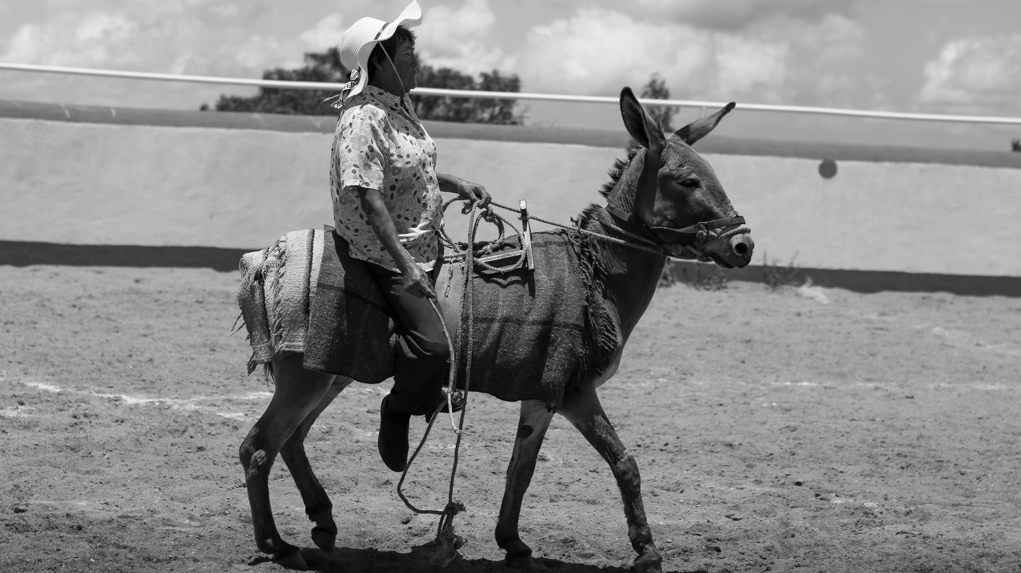 Recreational rodeo teaches third graders outdoor skills for summer fun — Photo by Anya  Juárez Tenorio on Pexels