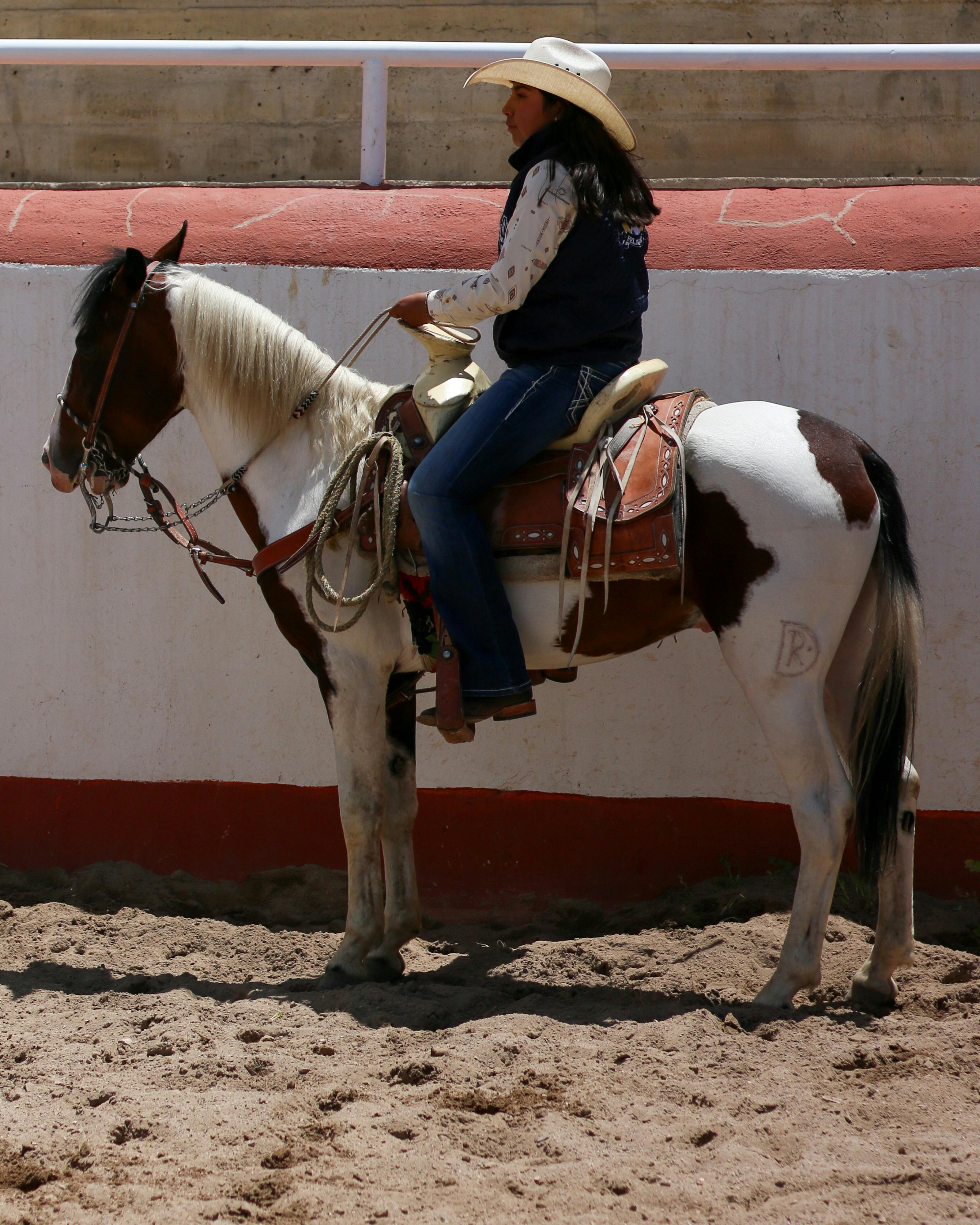 Cowgirl in a rodeo arena riding a pinto horse, dressed in traditional Western attire.