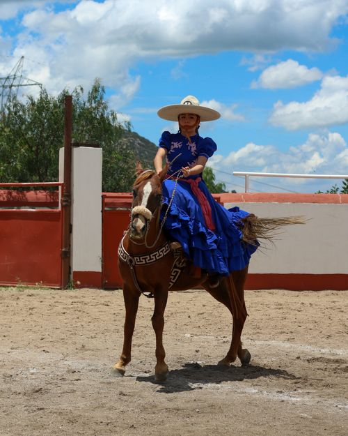 Free Young female escaramuza performs a skilled horse riding show on a sunny day. Stock Photo