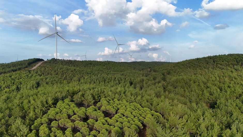 Effective Strategies for Climate Change Mitigation