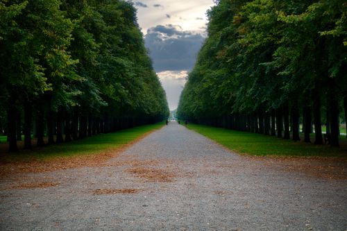 Free Serene alleyway in a lush park in Hannover, offering a peaceful walk under a leafy canopy. Stock Photo