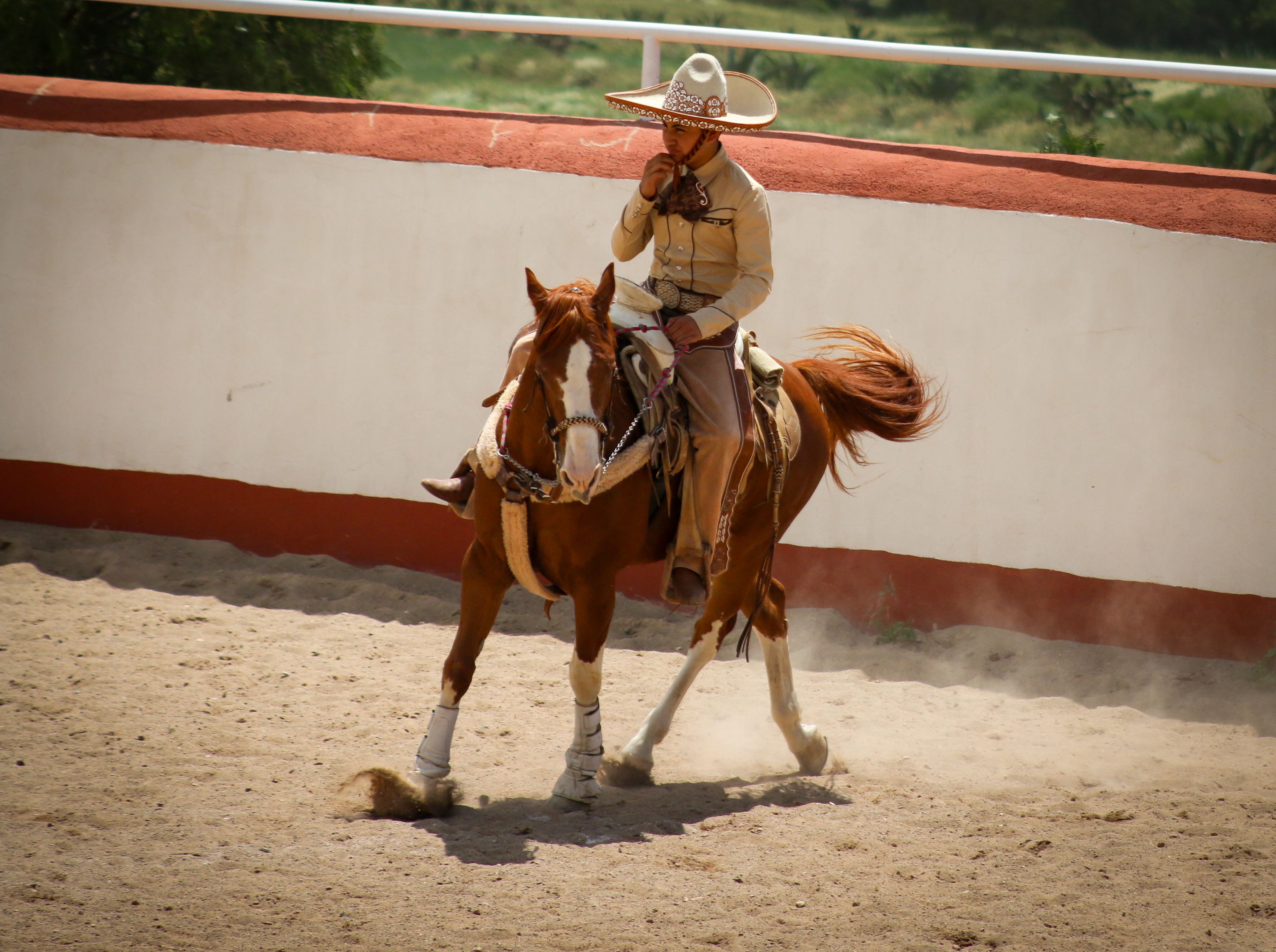 A man riding a horse in a rodeo · Free Stock Photo