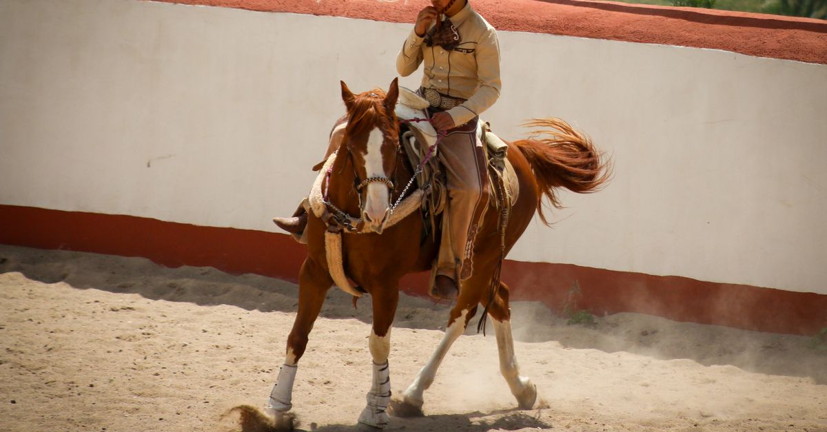 Still Hoarse And Rodeo Rider Image A man riding a horse in a rodeo · Free Stock Photo