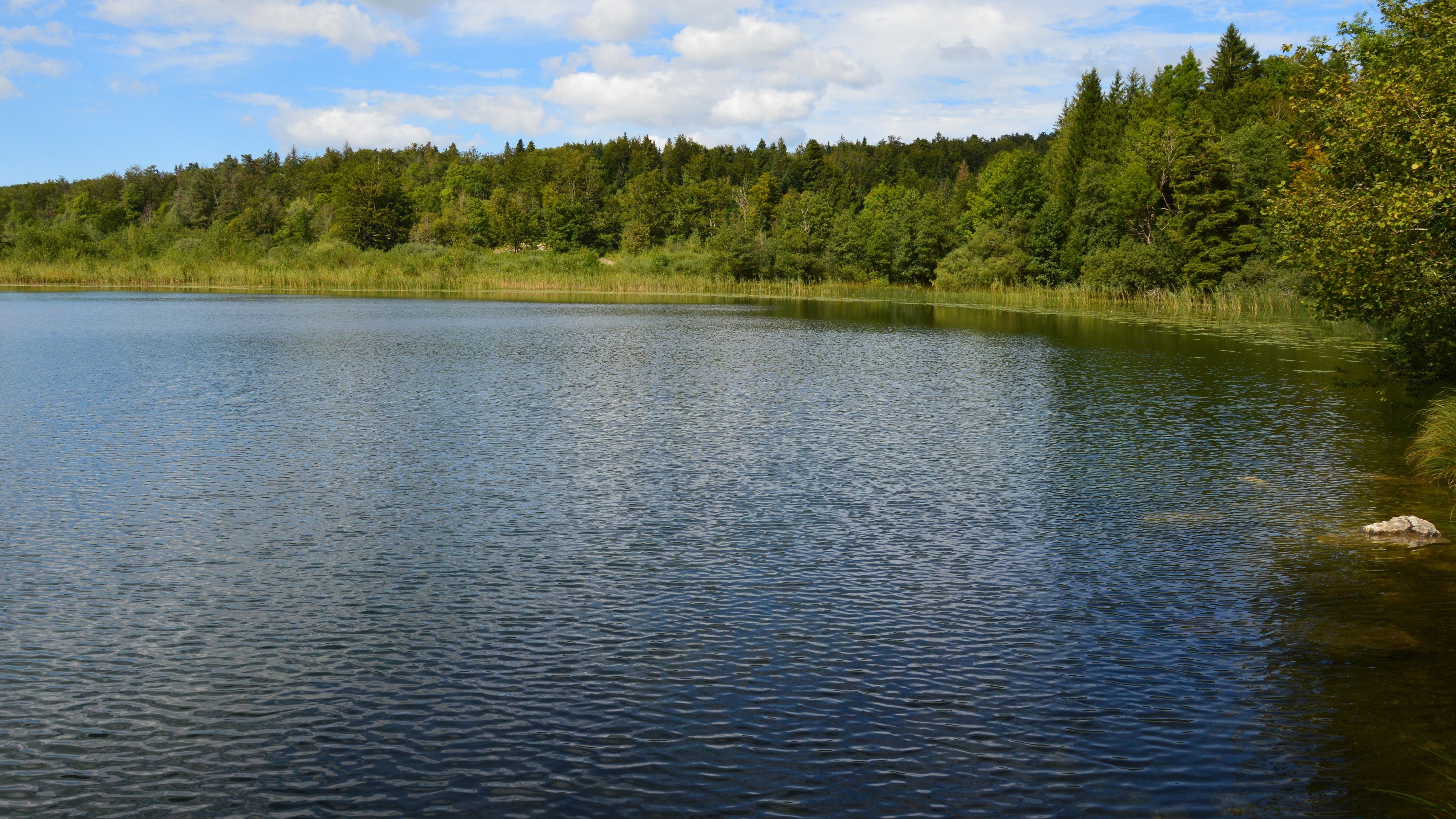 Private Lake Placid Olympic Experience via Private Helicopter from NYC - A serene lake amidst a vibrant green forest under a clear blue sky.