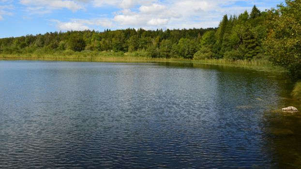 A serene lake amidst a vibrant green forest under a clear blue sky.