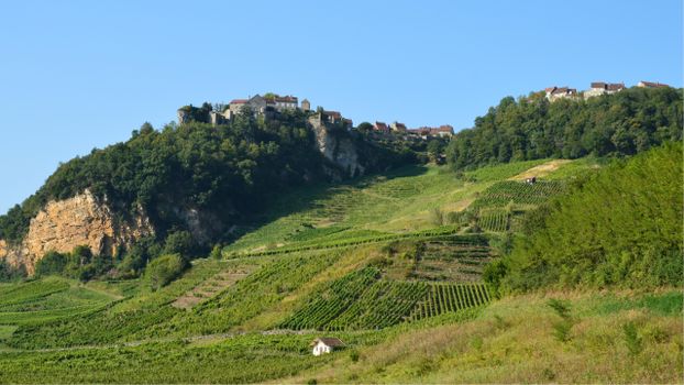 Scenic view of Château-Chalon with vineyards and hillside landscape in Bourgogne-Franche-Comté, France.