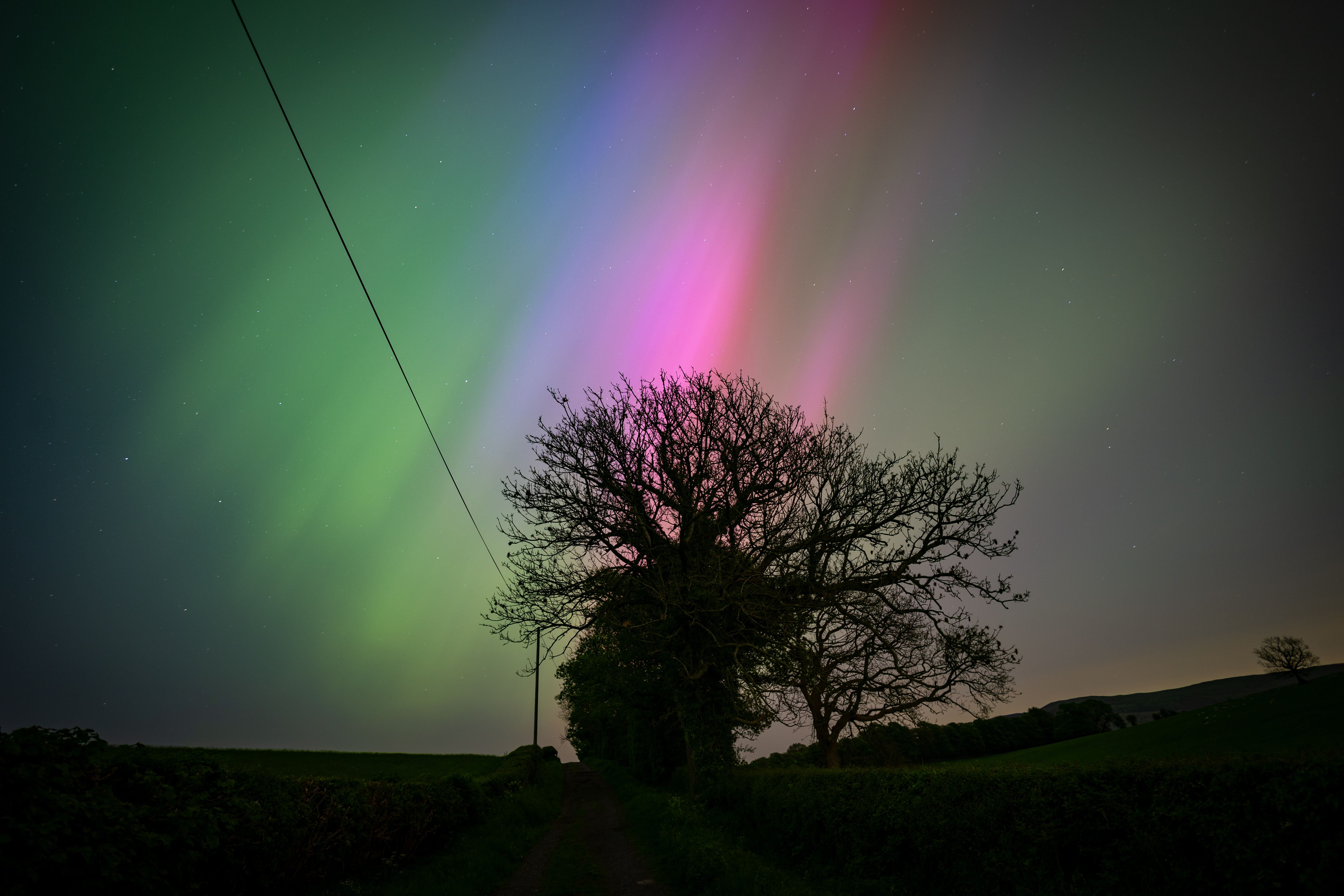 Stunning aurora borealis illuminates a tree silhouette near Skipton, England.