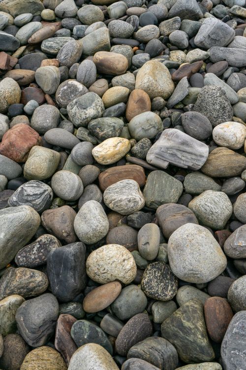 Free A close-up view of smooth, multicolored stones along the shore of Lyngen, Norway. Stock Photo