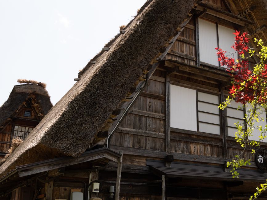 A rustic Gassho-Zukuri house in Shirakawa-go, featuring a thatched roof and wooden architecture.