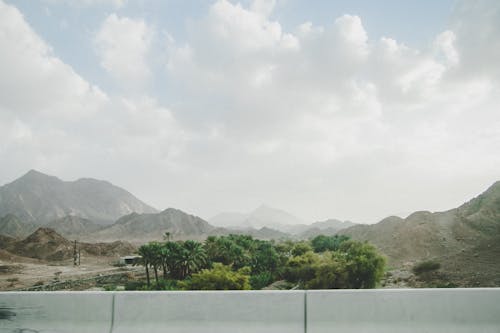 Foto d'estoc gratuïta de EAU, horitzó, palmeres