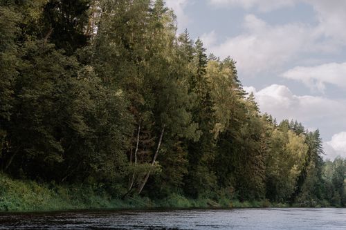 Free Tranquil view of a lush forest by a calm river under a cloudy sky, perfect for nature lovers. Stock Photo