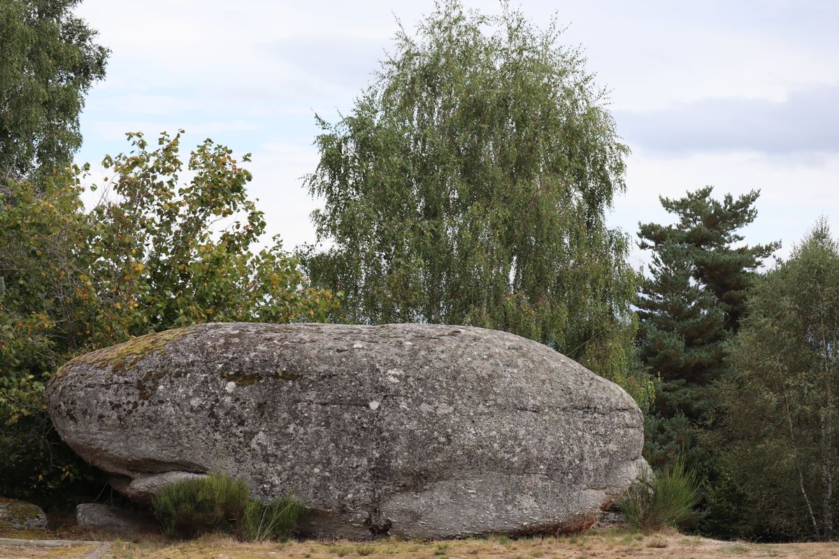 A large boulder in the middle of a field