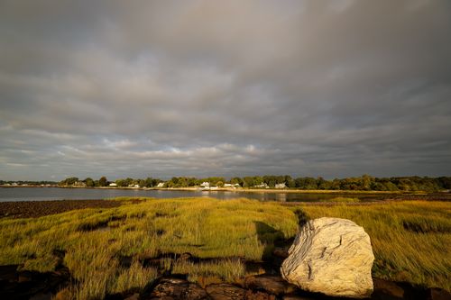 Free Peaceful coastal landscape with grassy shores and calm waters at Stamford's Cove Island Park. Stock Photo