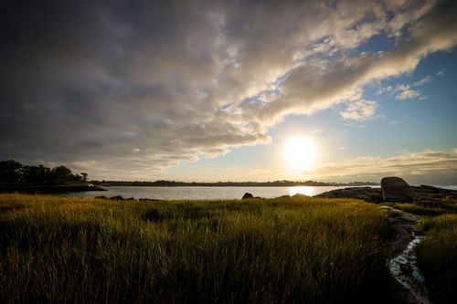 Free Peaceful sunrise over Cove Island Park in Stamford, CT showcasing lush seagrass and calm waters. Stock Photo
