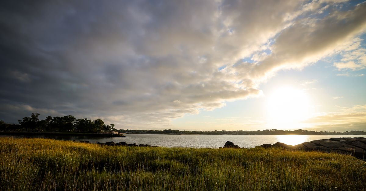 A peaceful sunrise view over Cove Island Park, Stamford. Vibrant grass and water reflections highlight a tranquil scene.