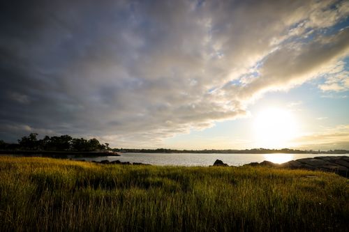 Free A peaceful sunrise view over Cove Island Park, Stamford. Vibrant grass and water reflections highlight a tranquil scene. Stock Photo