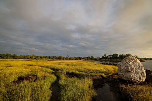 Free Beautiful landscape of Cove Island Park, Stamford with golden fields beside the calm lake at sunrise. Stock Photo