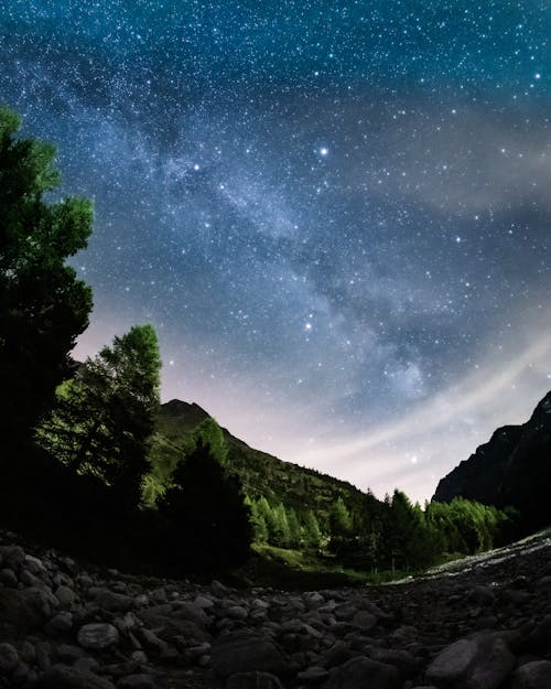 Imagine de stoc gratuită din arbori, astrofotografie, Astrologie