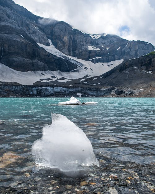 Free stock photo of alps, cold water, glacier