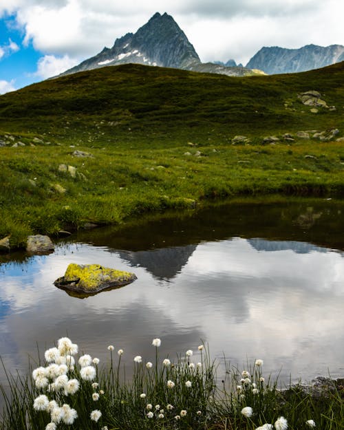 Free stock photo of alps, clouds, meadow