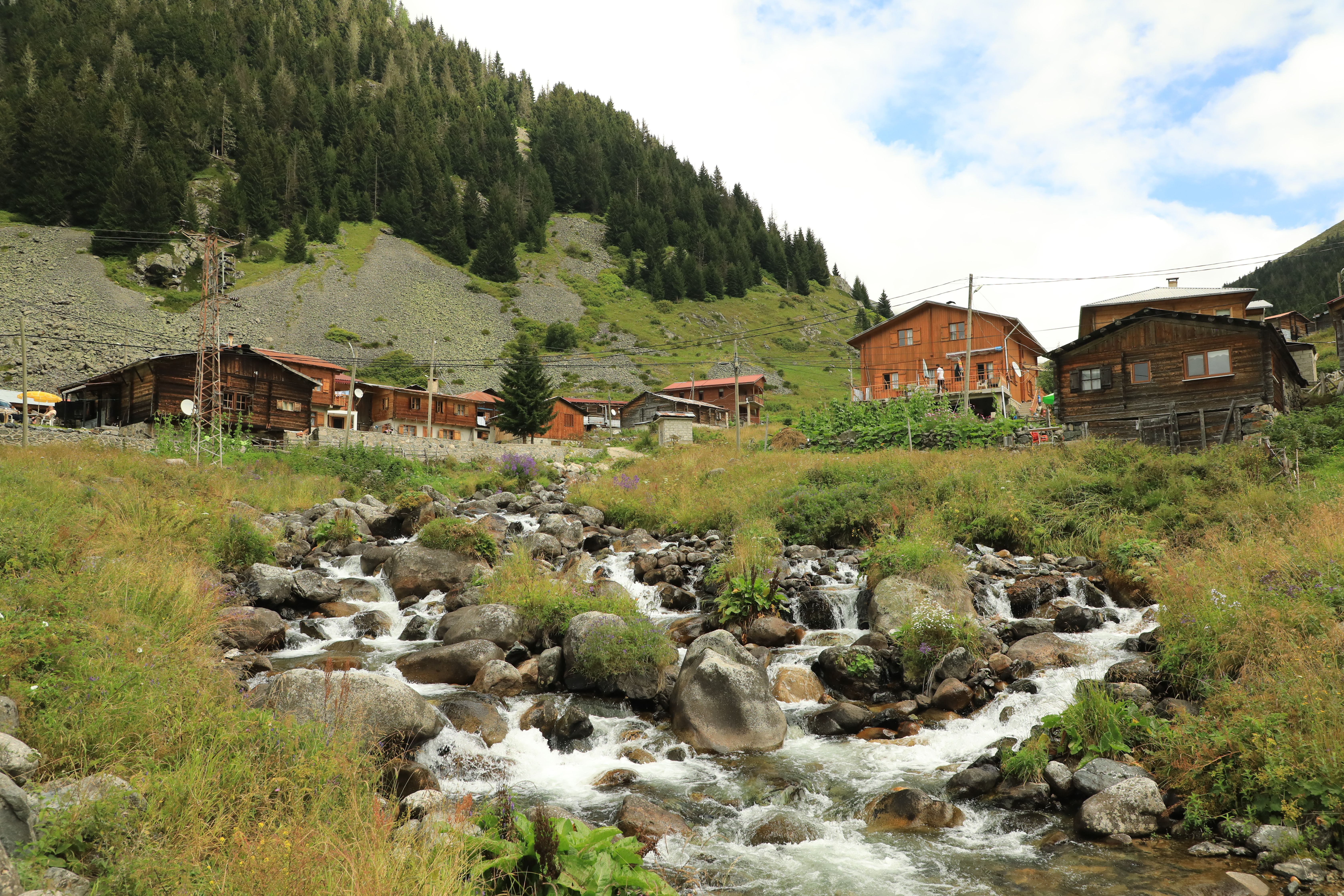 Scenic wooden houses along a tranquil mountain stream in Rize, Türkiye.