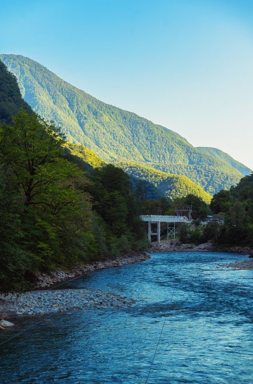 Free Breathtaking view of a river flowing through a lush forest with mountains in the backdrop at sunrise. Stock Photo