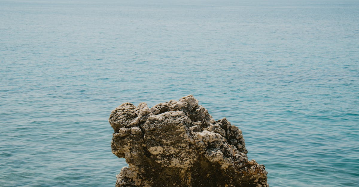 Vlora